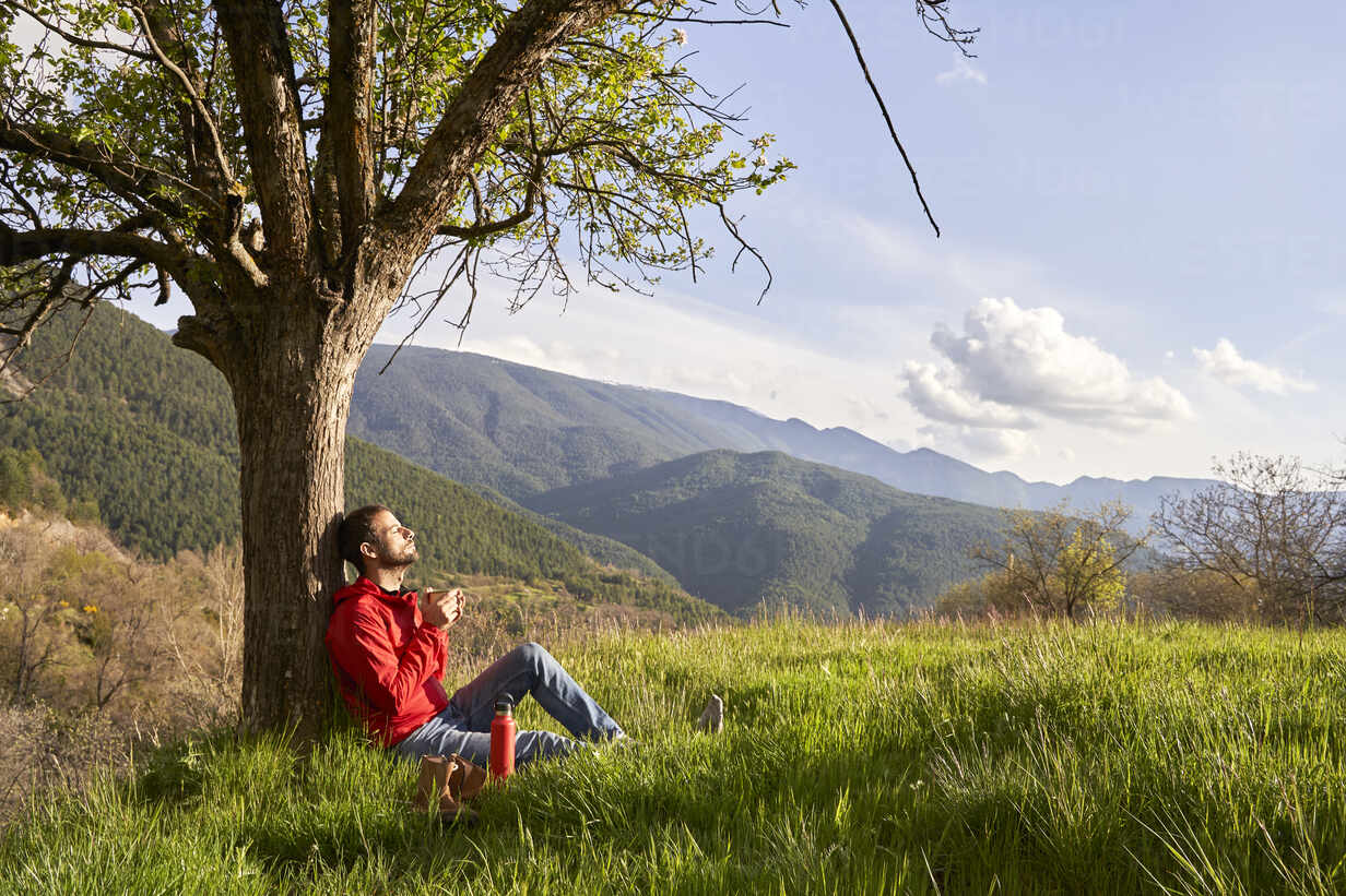 The Healing Power of Nature